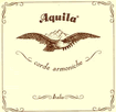 Aquila