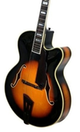 FlowersGuitars