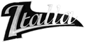 ItaliaGuitars